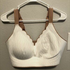 Forlest - Sharon Two-Toned Scalloped Neckline Embossed Lace Bra